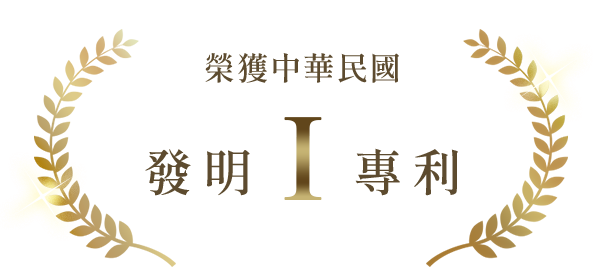 發明I專利